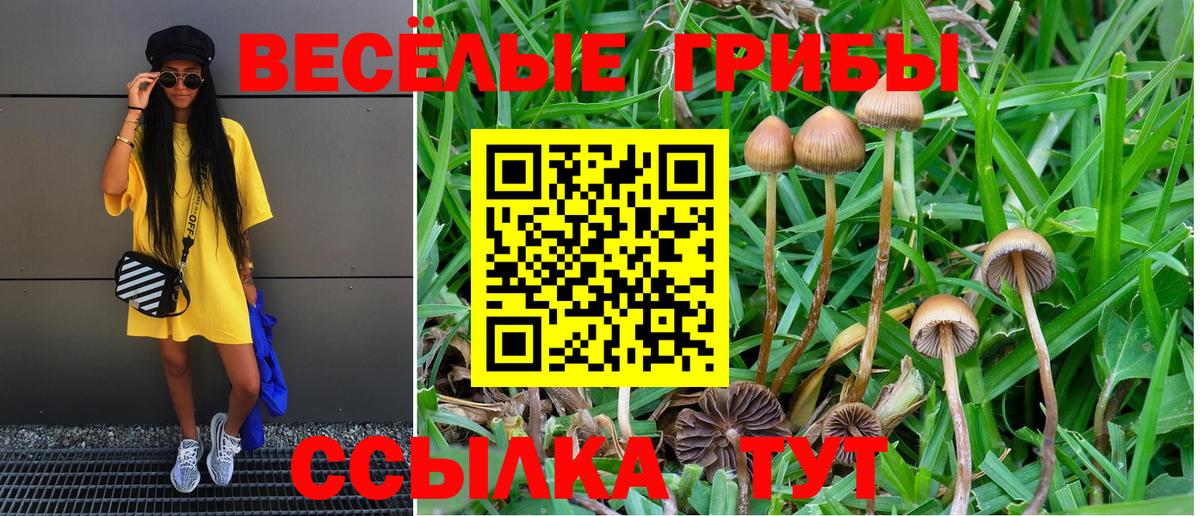 Галлюциногенные грибы Psilocybine cubensis  Вход с VPN  Галлюциногенные грибы Psilocybine cubensis  Каменск-Уральский 